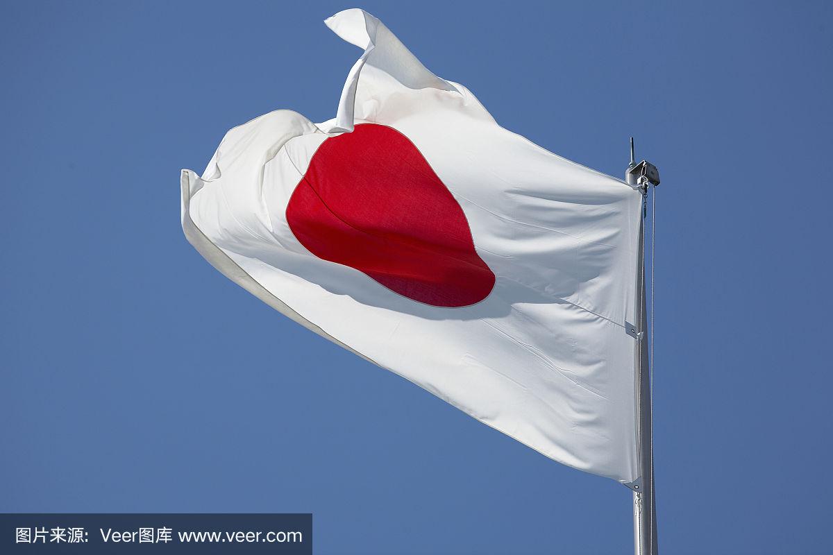 日本国棋(日本国棋是什么棋)